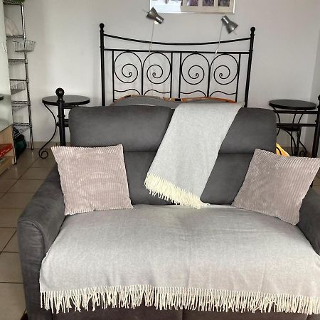 Casa Petra 1 1/2 Zi, Orgnana 83 Daire Gambarogno Dış mekan fotoğraf