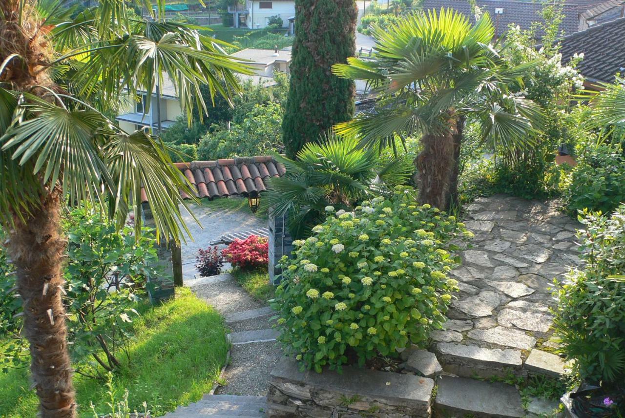Casa Petra 1 1/2 Zi, Orgnana 83 Daire Gambarogno Dış mekan fotoğraf