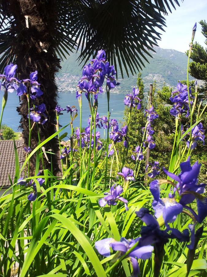 Casa Petra 1 1/2 Zi, Orgnana 83 Daire Gambarogno Dış mekan fotoğraf