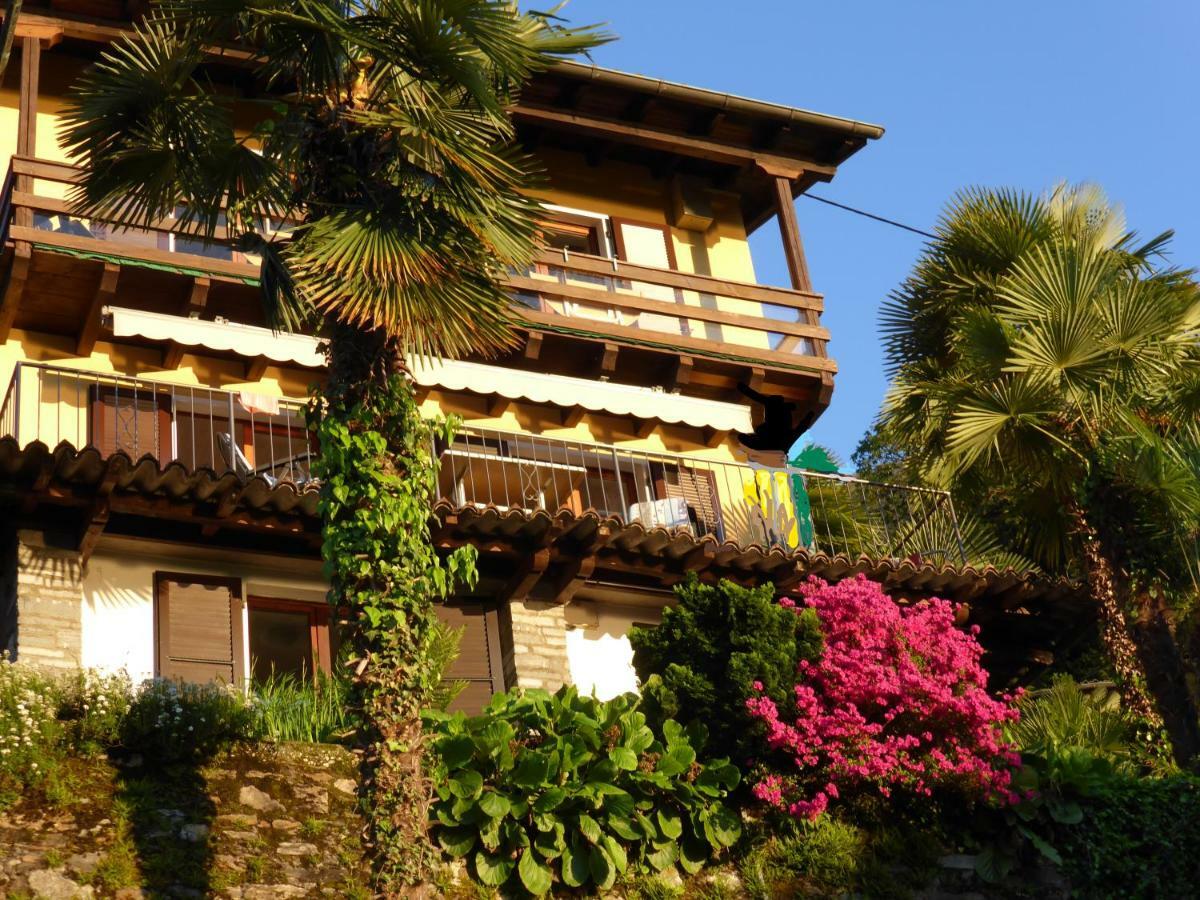 Casa Petra 1 1/2 Zi, Orgnana 83 Daire Gambarogno Dış mekan fotoğraf