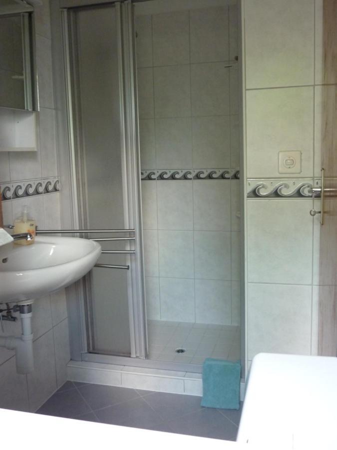 Casa Petra 1 1/2 Zi, Orgnana 83 Daire Gambarogno Dış mekan fotoğraf