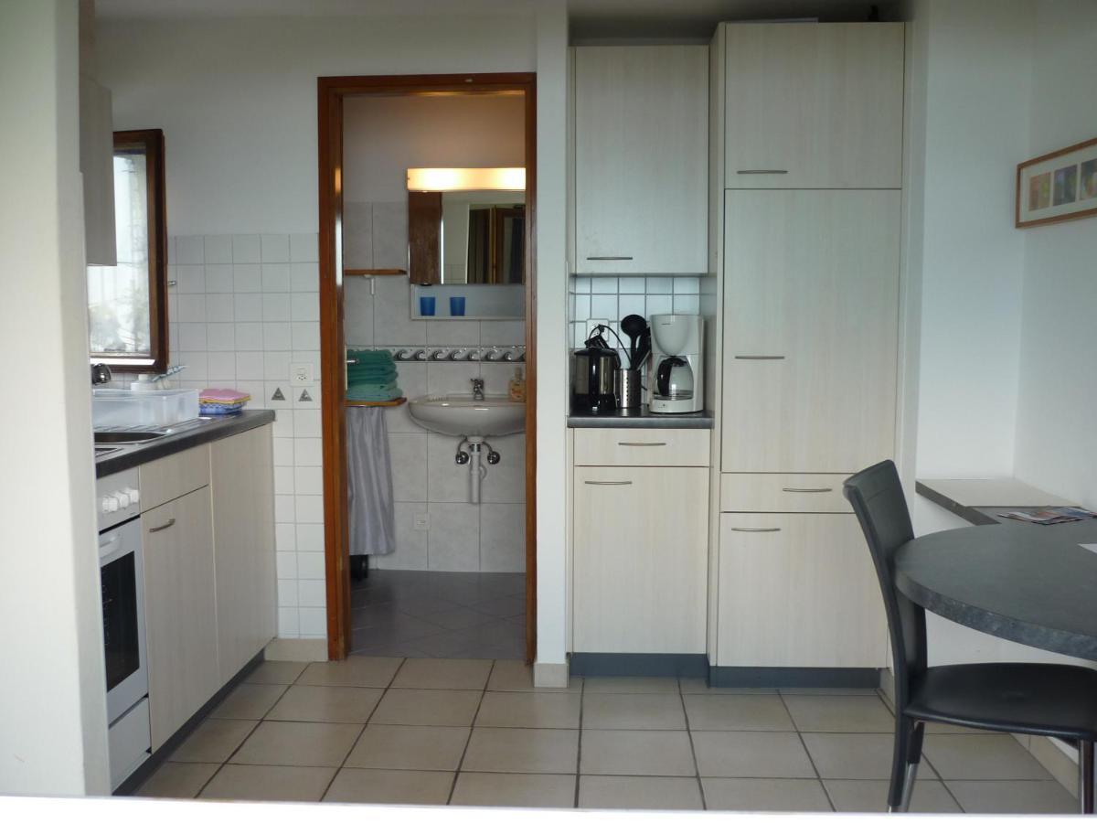 Casa Petra 1 1/2 Zi, Orgnana 83 Daire Gambarogno Dış mekan fotoğraf