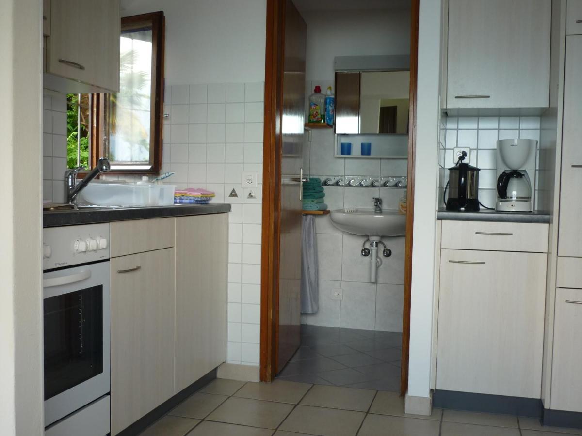 Casa Petra 1 1/2 Zi, Orgnana 83 Daire Gambarogno Dış mekan fotoğraf