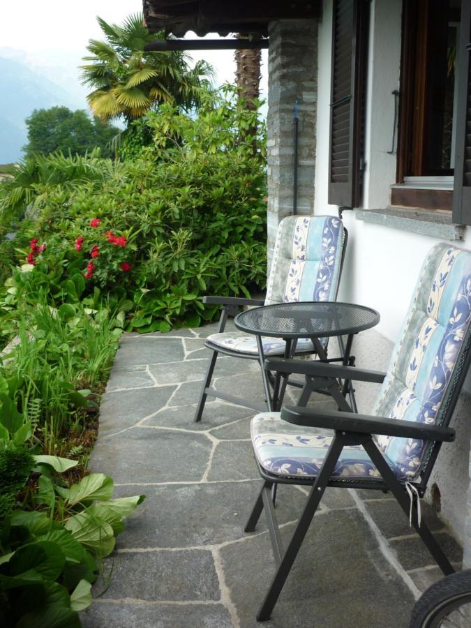 Casa Petra 1 1/2 Zi, Orgnana 83 Daire Gambarogno Dış mekan fotoğraf