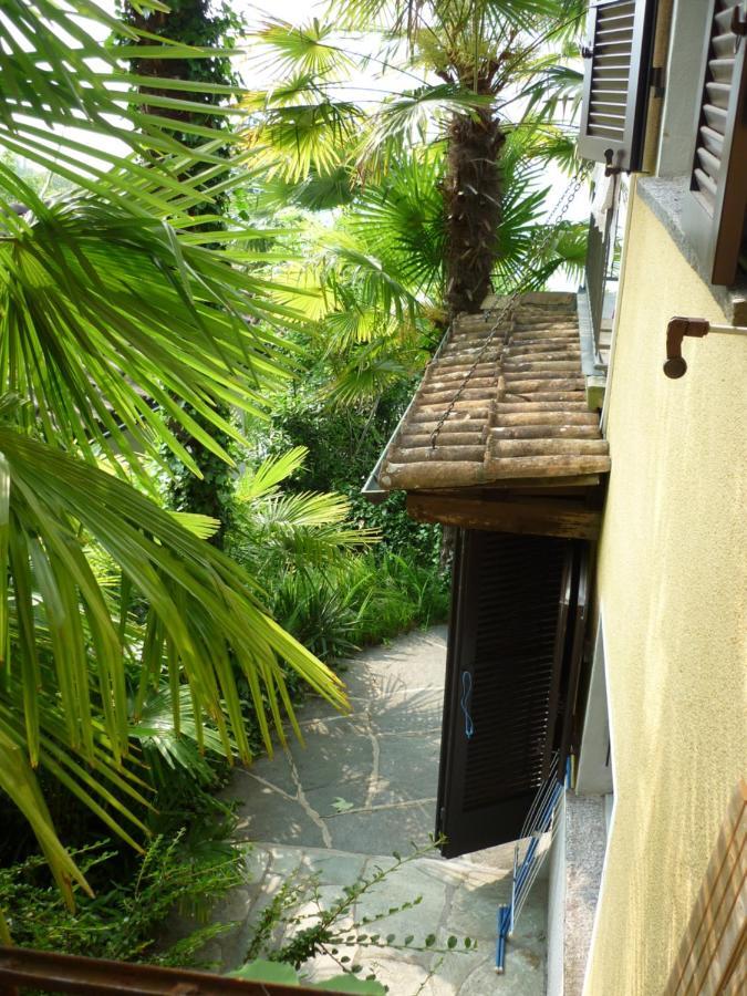 Casa Petra 1 1/2 Zi, Orgnana 83 Daire Gambarogno Dış mekan fotoğraf
